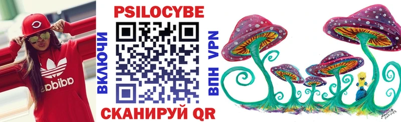 Псилоцибиновые грибы прущие грибы  где купить наркоту  Кропоткин 
